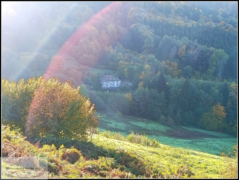 vente Fermette Saulxures Sur Moselotte - Photo 9
