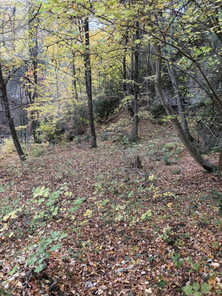 vente Terrain constructible Le Mas - Photo 8