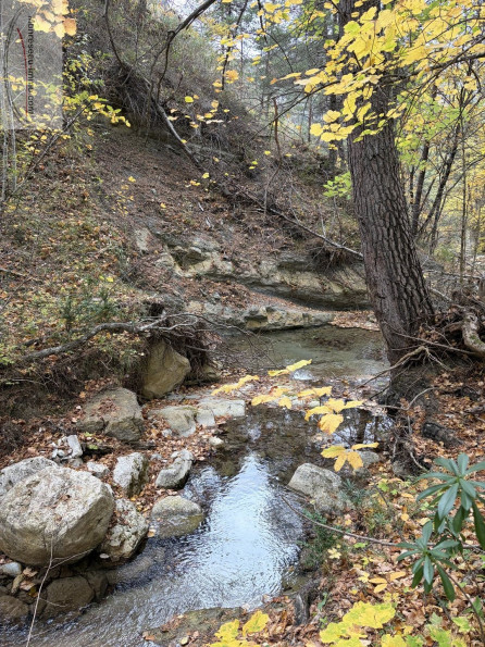 vente Terrain constructible Le Mas - Photo 2