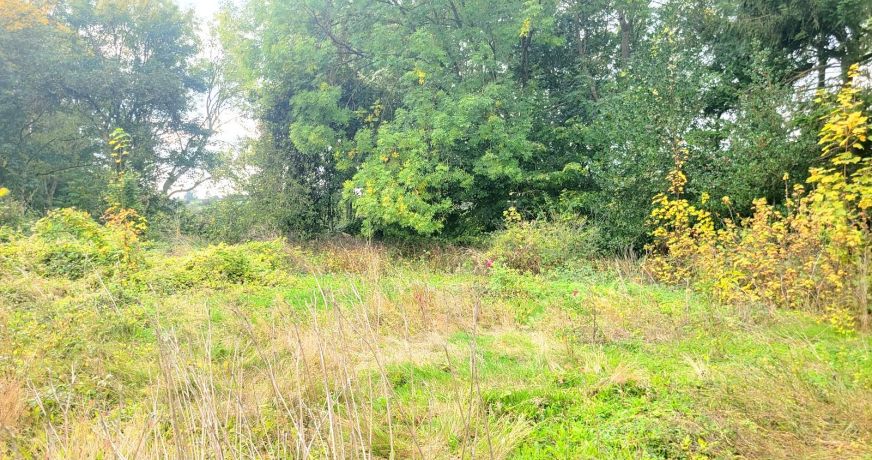 vente Maison de village Saint Martin Riviere