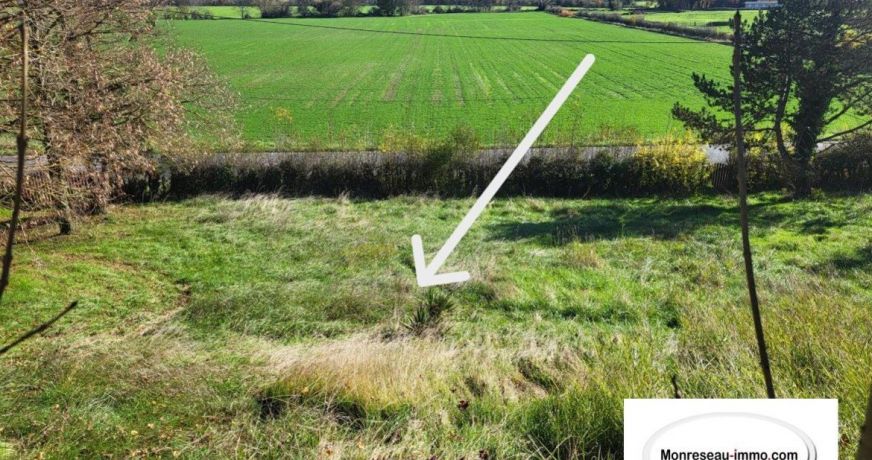 vente Terrain constructible Cluny