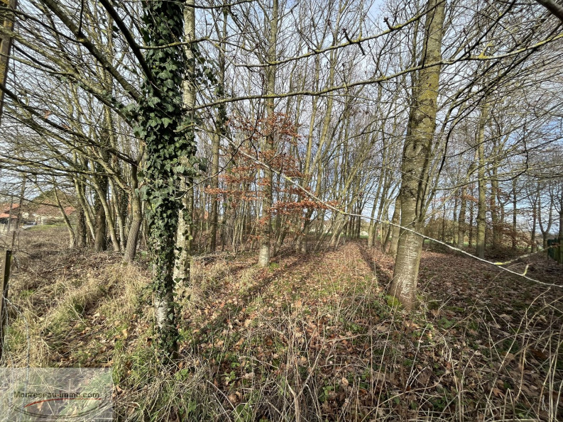 for sale Terrain Vendhuile - Photo 3