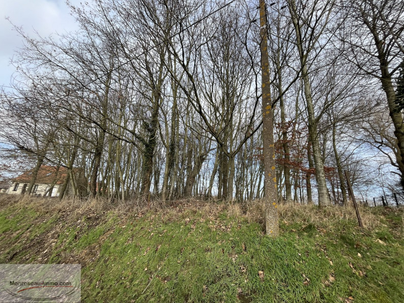 for sale Terrain Vendhuile - Photo 4