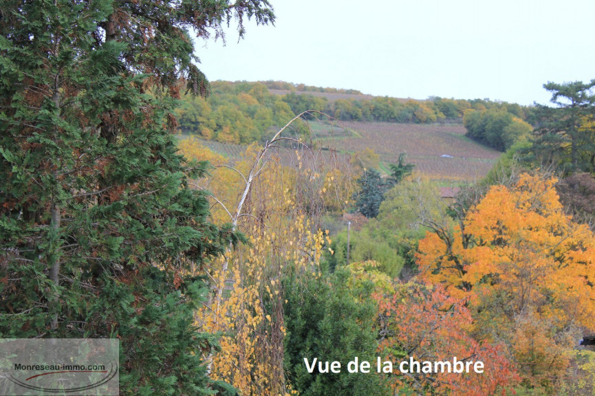 for sale Maison de village Macon - Photo 4