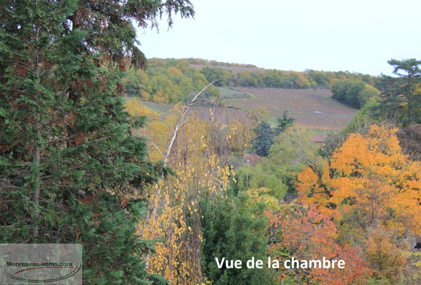 vente Maison de village Macon - Photo 4