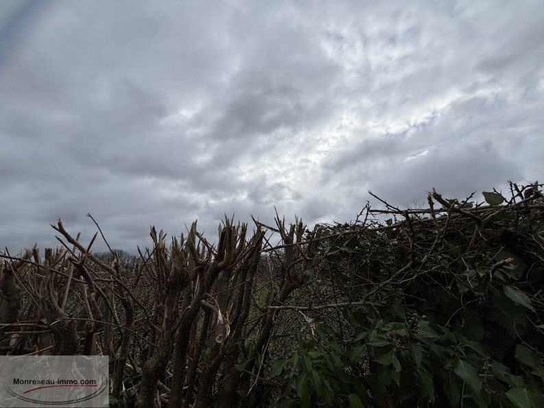 vente Terrain Le Quesnoy - Photo 2