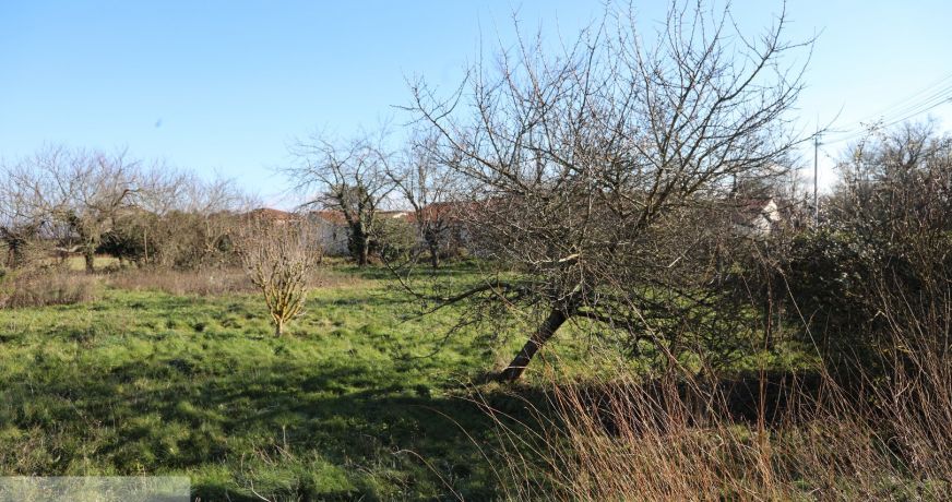 vente Terrain constructible Charnay Les Macon