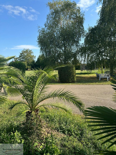 vente Terrain constructible Prisse - Photo 5