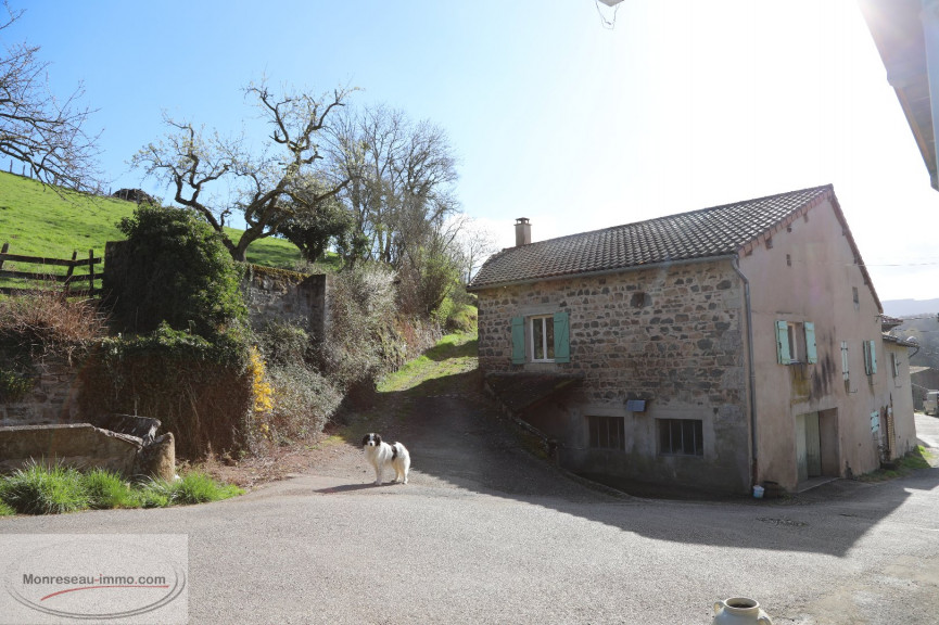 à vendre Ensemble immobilier Serrieres - Photo 1