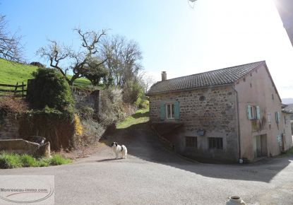 vente Ensemble immobilier Serrieres