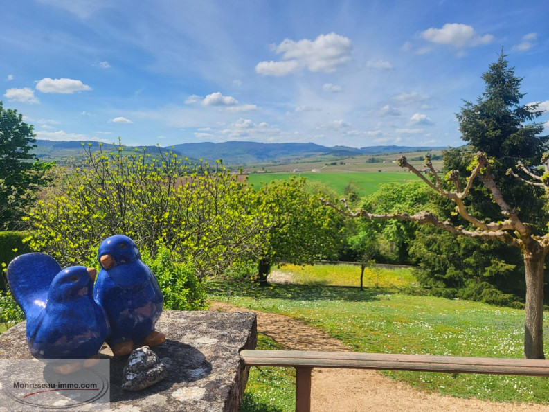 vente Maison Chevagny Les Chevrieres - Photo 10