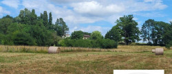 vente Terrain Chavannes Sur Reyssouze