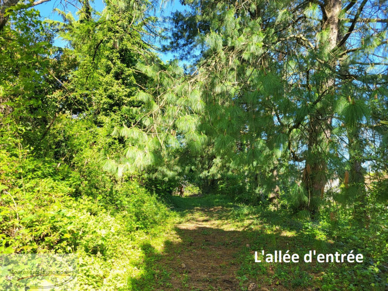 à vendre Propriété Macon - Photo 2