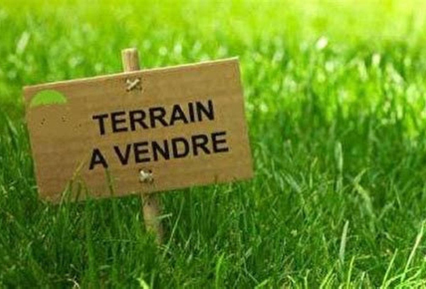 vente Terrain en lotissement Saint Cyr Sur Menthon - Photo 1