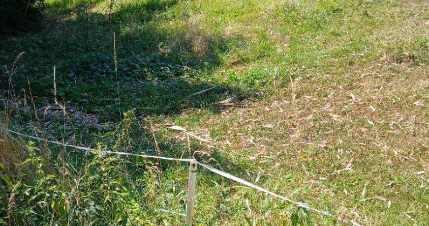 vente Terrain en lotissement Saint Cyr Sur Menthon