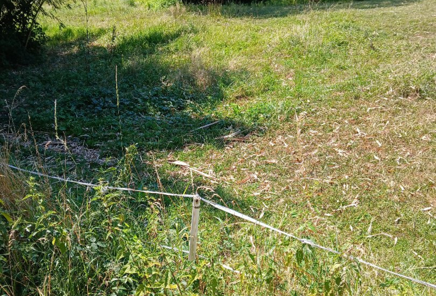 vente Terrain en lotissement Saint Cyr Sur Menthon - Photo 1