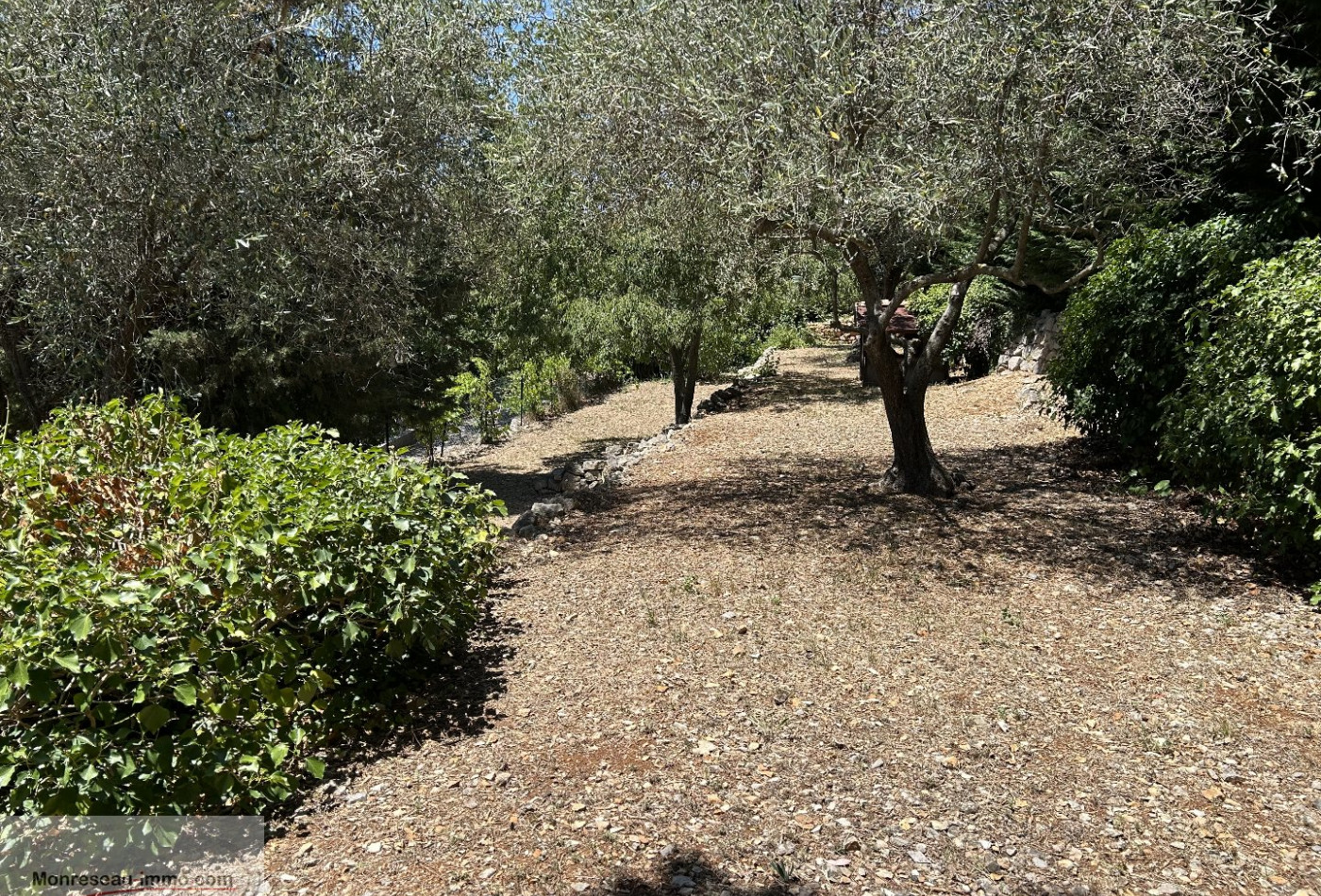 vente Maison Grasse - Photo 3
