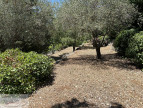 for sale Maison Grasse