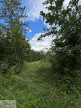 à vendre Terrain boisé – forêt Valenciennes