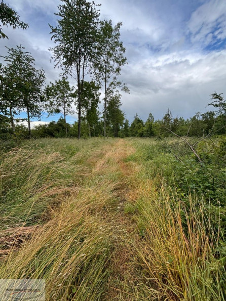 à vendre Terrain boisé – forêt Valenciennes - Photo 7
