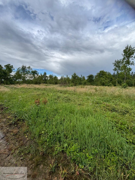 à vendre Terrain boisé – forêt Valenciennes - Photo 8