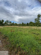 à vendre Terrain boisé – forêt Valenciennes