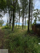 à vendre Terrain boisé – forêt Valenciennes