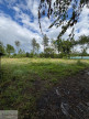 à vendre Terrain boisé – forêt Valenciennes