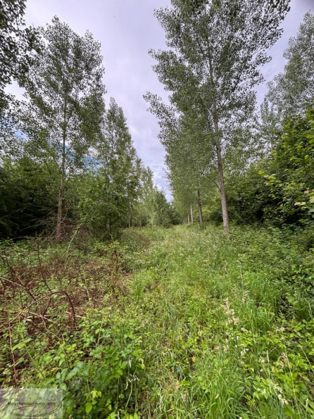 à vendre Terrain boisé – forêt Valenciennes - Photo 1