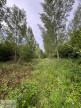 à vendre Terrain boisé – forêt Valenciennes