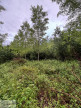 à vendre Terrain boisé – forêt Valenciennes