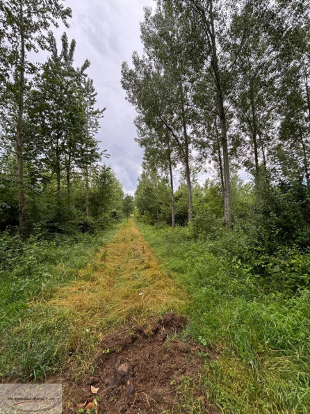 à vendre Terrain boisé – forêt Valenciennes - Photo 3