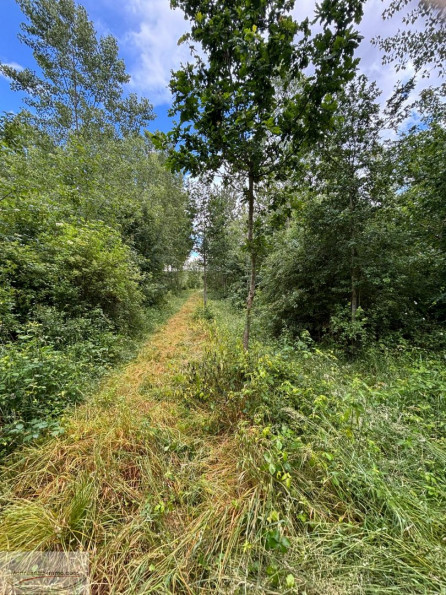 à vendre Terrain boisé – forêt Valenciennes - Photo 4