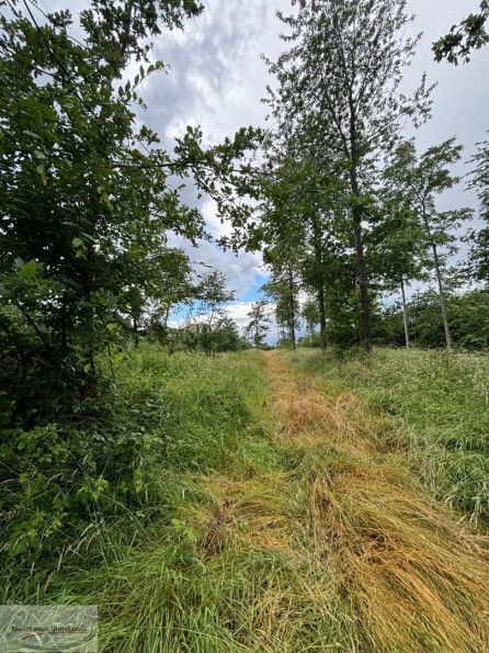 à vendre Terrain boisé – forêt Valenciennes - Photo 5