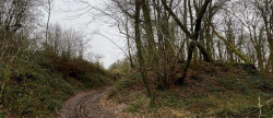 vente Terrain boisé – forêt Laon