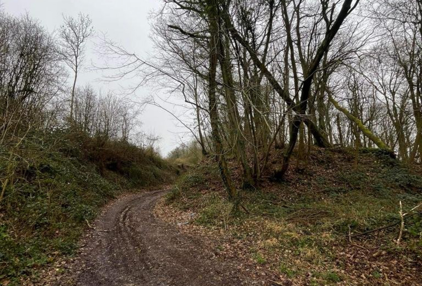 vente Terrain boisé – forêt Laon - Photo 4