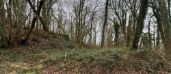vente Terrain boisé – forêt Laon