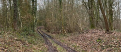 vente Terrain boisé – forêt Laon