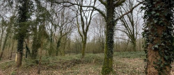 vente Terrain boisé – forêt Laon