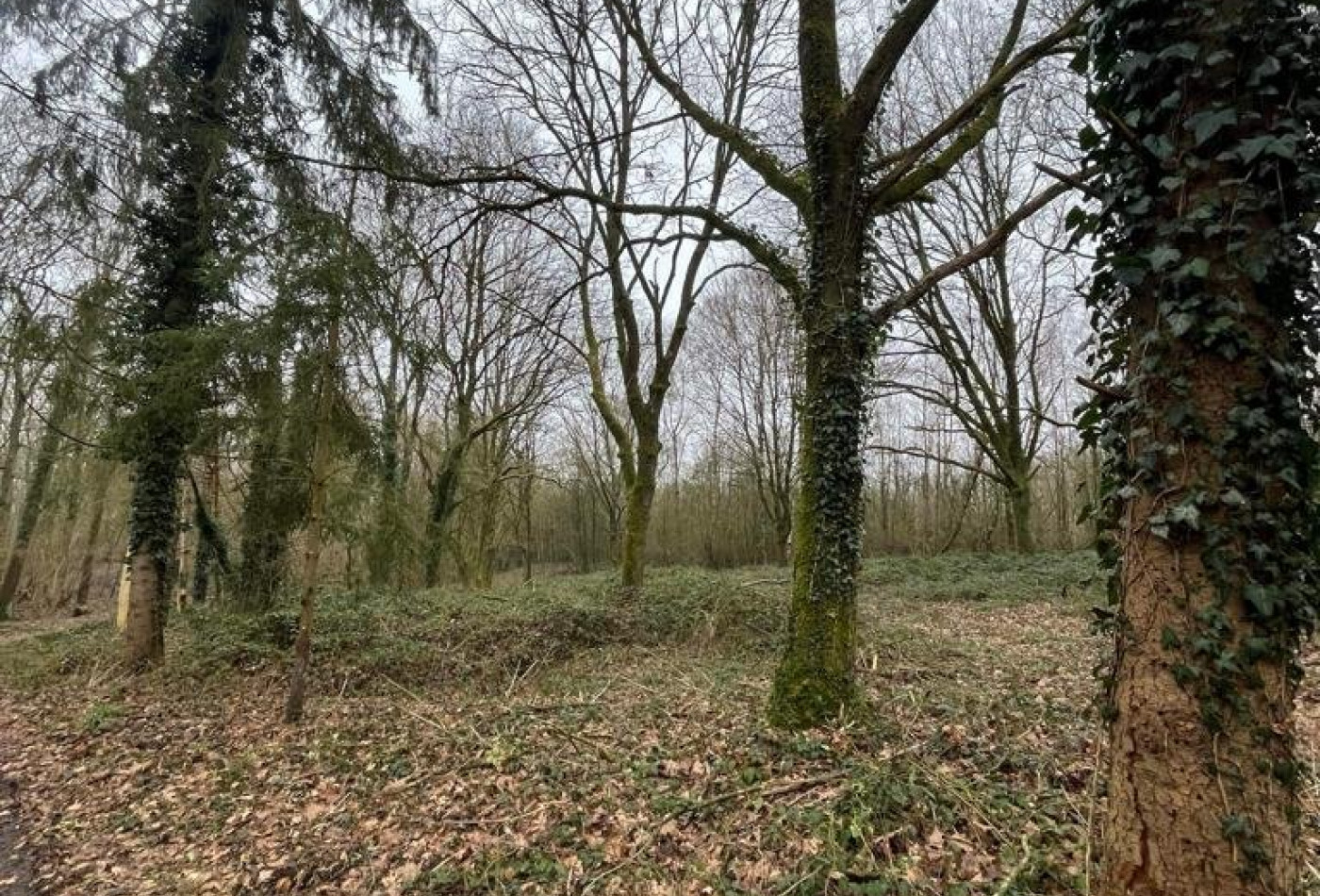 vente Terrain boisé – forêt Laon - Photo 8
