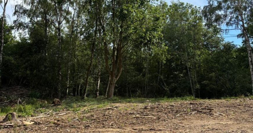 vente Terrain boisé – forêt Laon