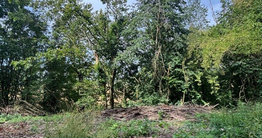vente Terrain boisé – forêt Laon