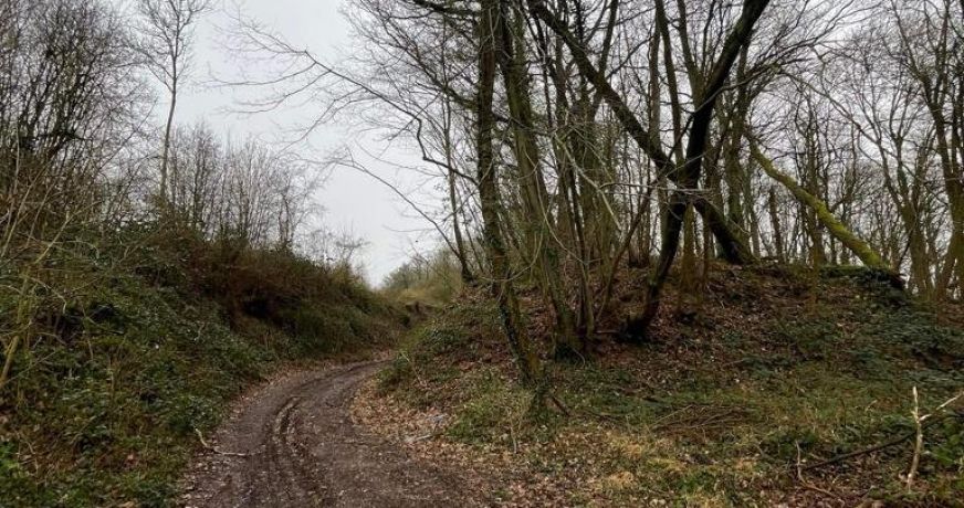 vente Terrain boisé – forêt Laon
