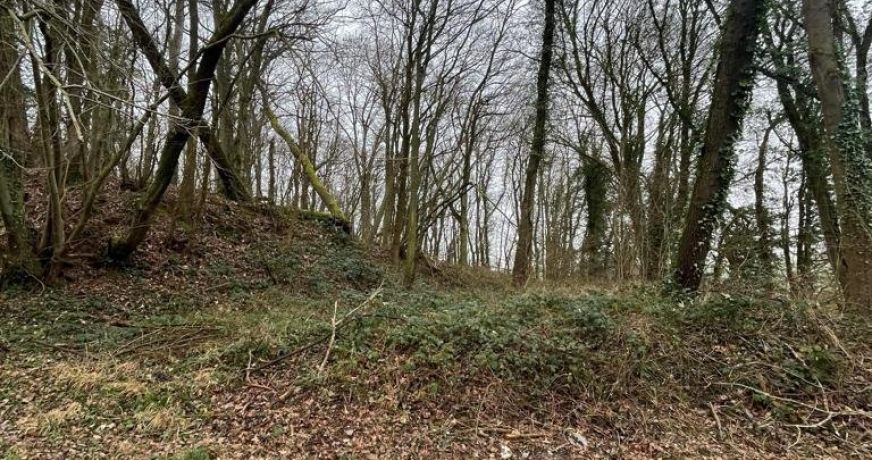 vente Terrain boisé – forêt Laon