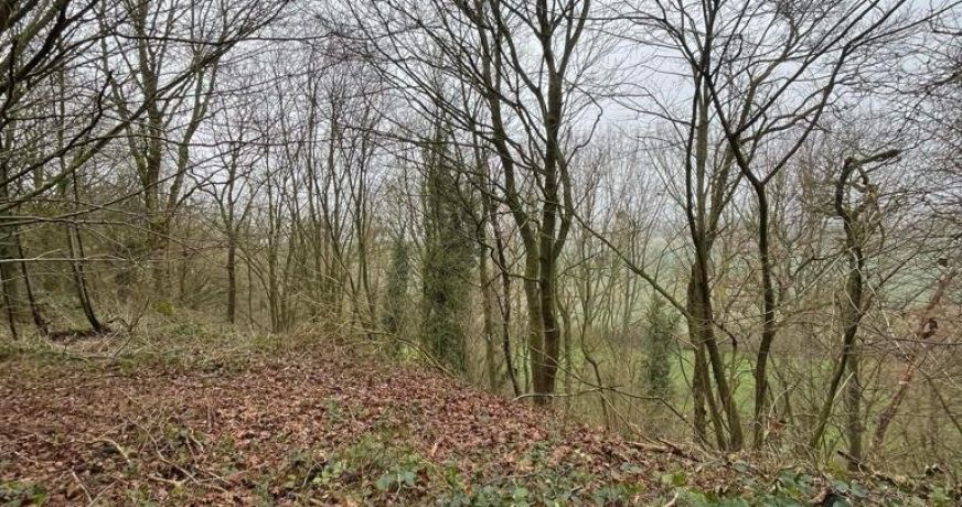 vente Terrain boisé – forêt Laon