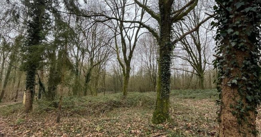 vente Terrain boisé – forêt Laon