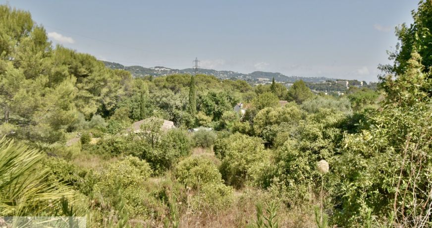 vente Terrain constructible Mougins