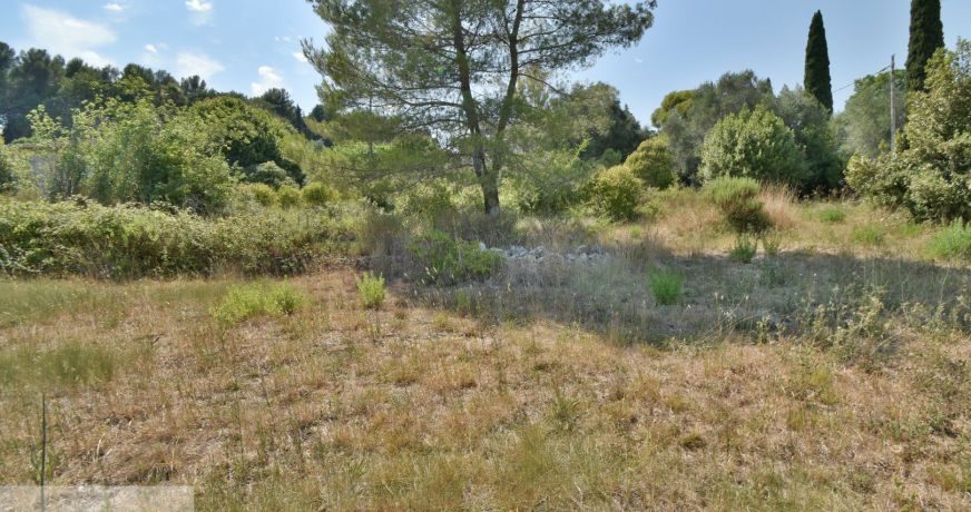vente Terrain constructible Mougins
