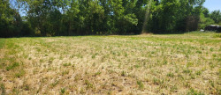 vente Terrain constructible Saint Etienne Sur Reyssouze