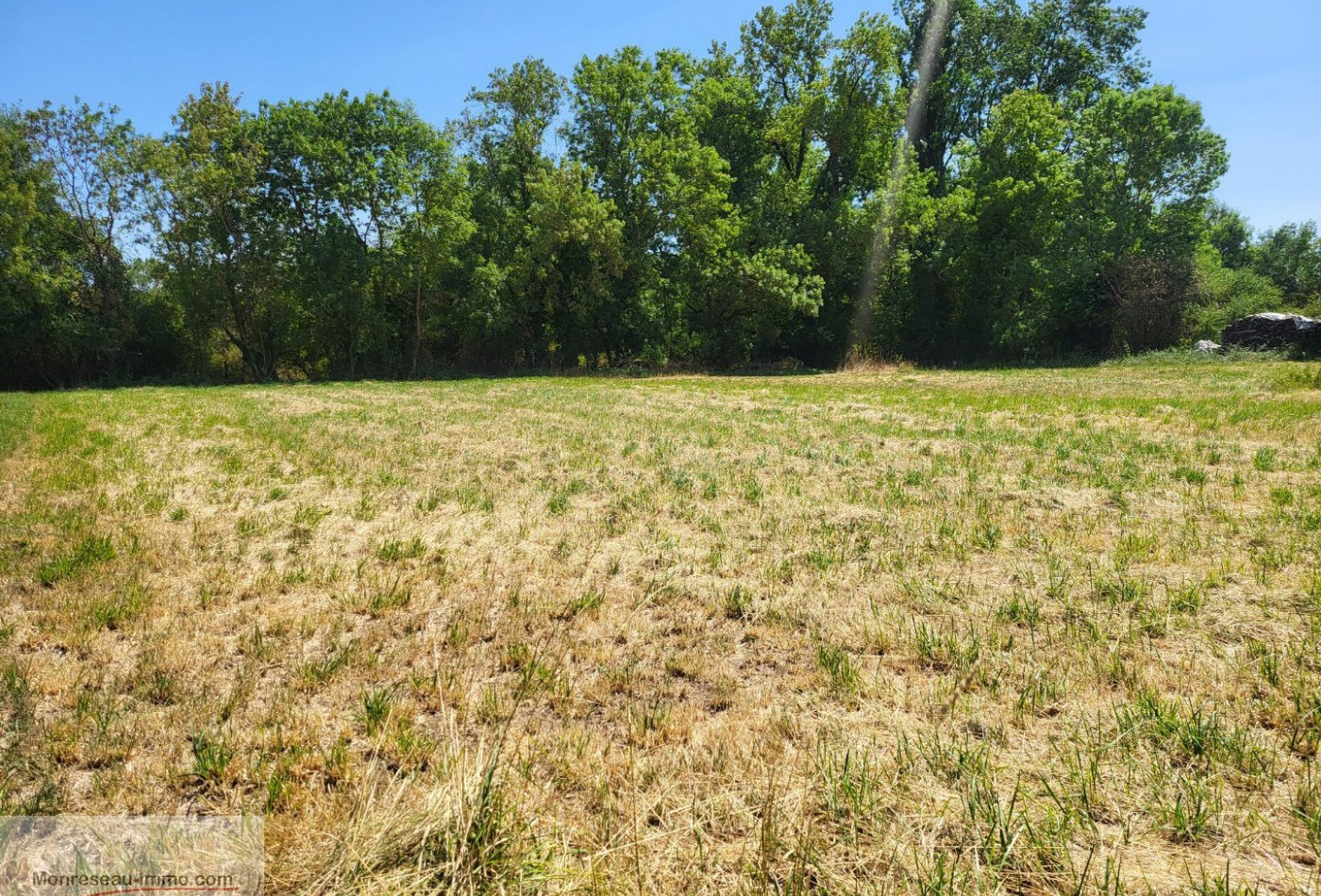 vente Terrain constructible Saint Etienne Sur Reyssouze - Photo 2